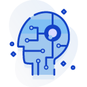 Custom Web Applications